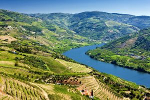 Douro-Most-Romantic-Places-in-Portugal - Hortense Travel
