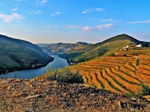 Douro Valley - Hortense Travel