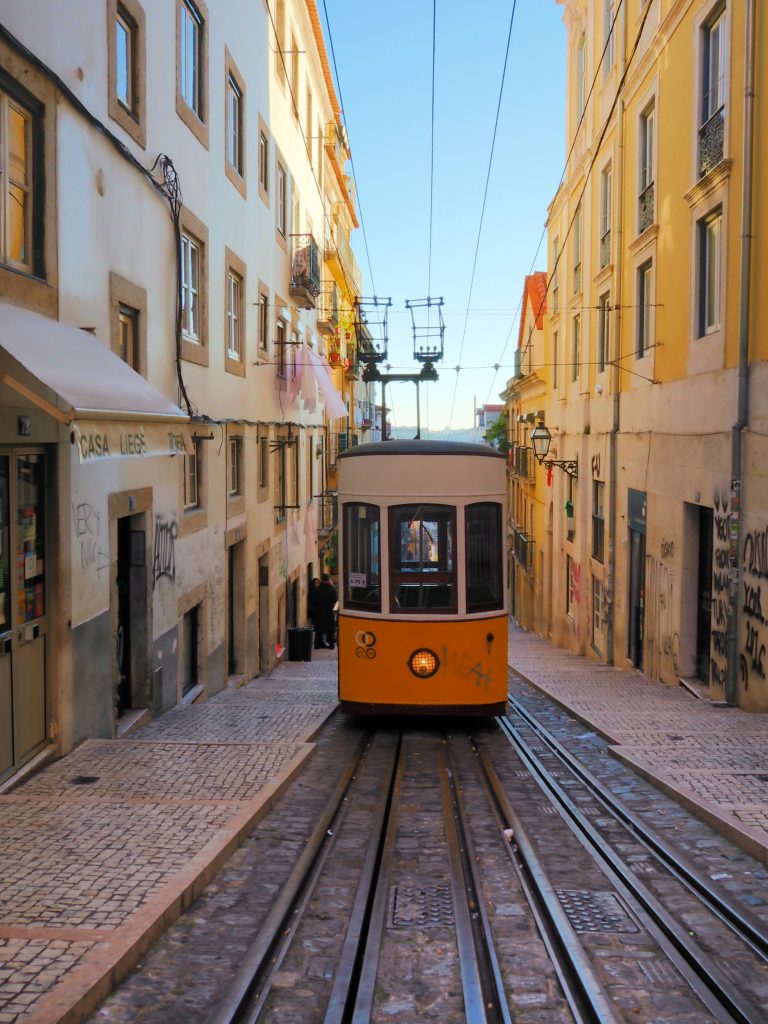 Christmas Lights Of Lisbon