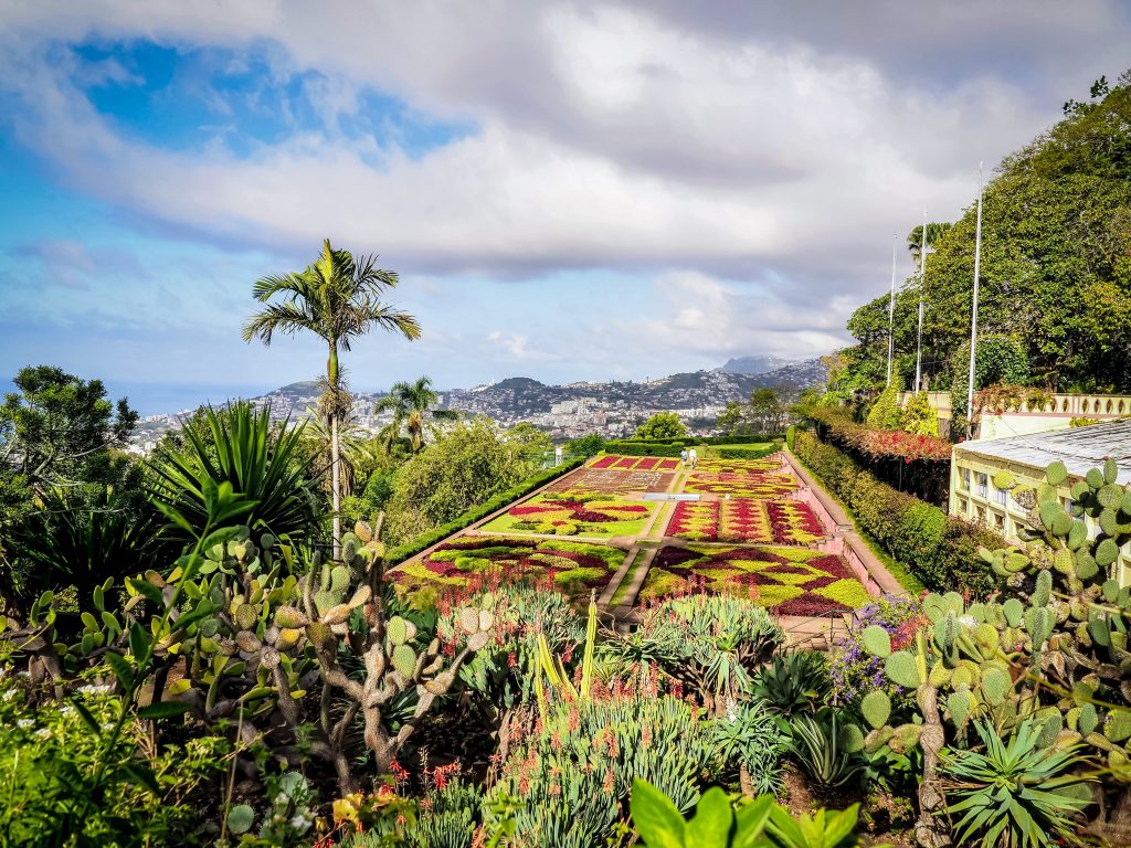 The Botanical Garden of Madeira