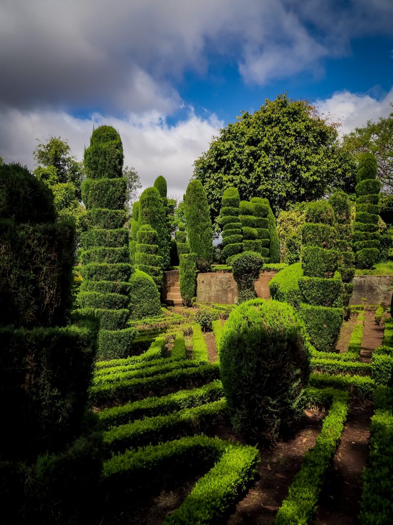 The Botanical Garden of Madeira