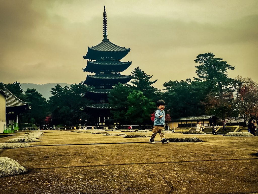 Looking For Peacefulness In The Amazing Nara Park, Japan - Hortense Travel