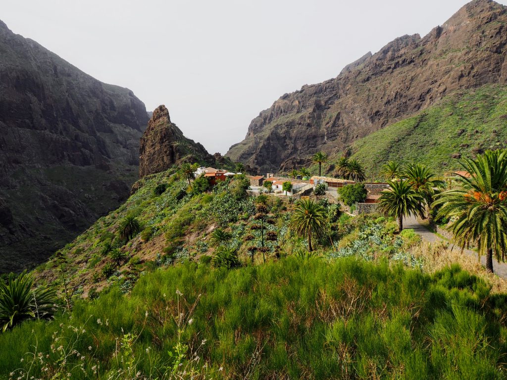 A Road Trip Adventure In Tenerife - Hortense Travel