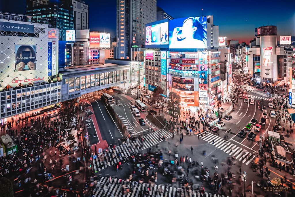 How To Explore The Outer Tsukiji Fish Market - Hortense Travel