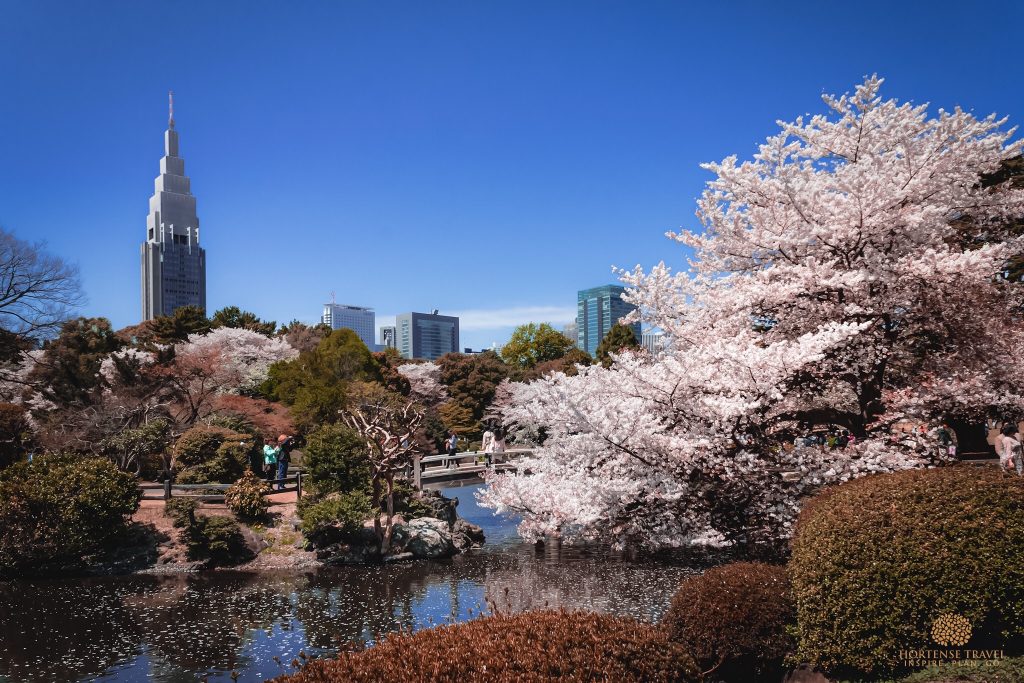 Get A Taste Of Japan With This Perfect One-Week Itinerary