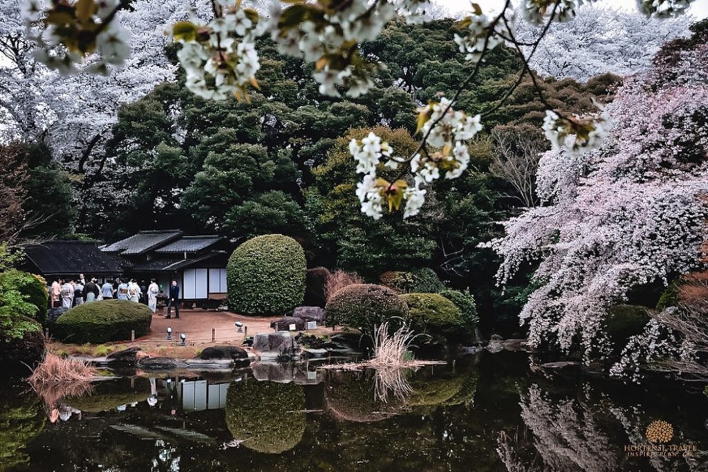 The 12 Most Stunning Gardens In Tokyo - Hortense Travel