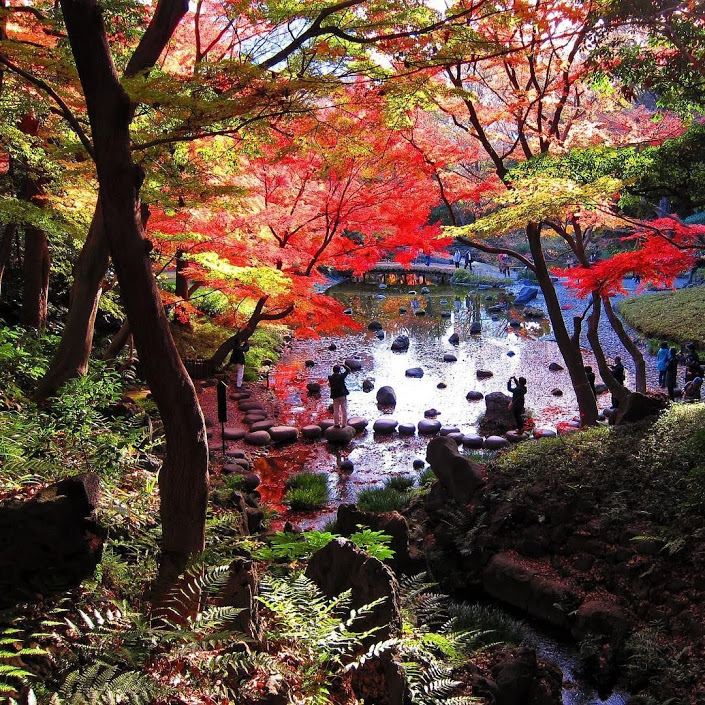 The 12 Most Stunning Gardens In Tokyo - Hortense Travel