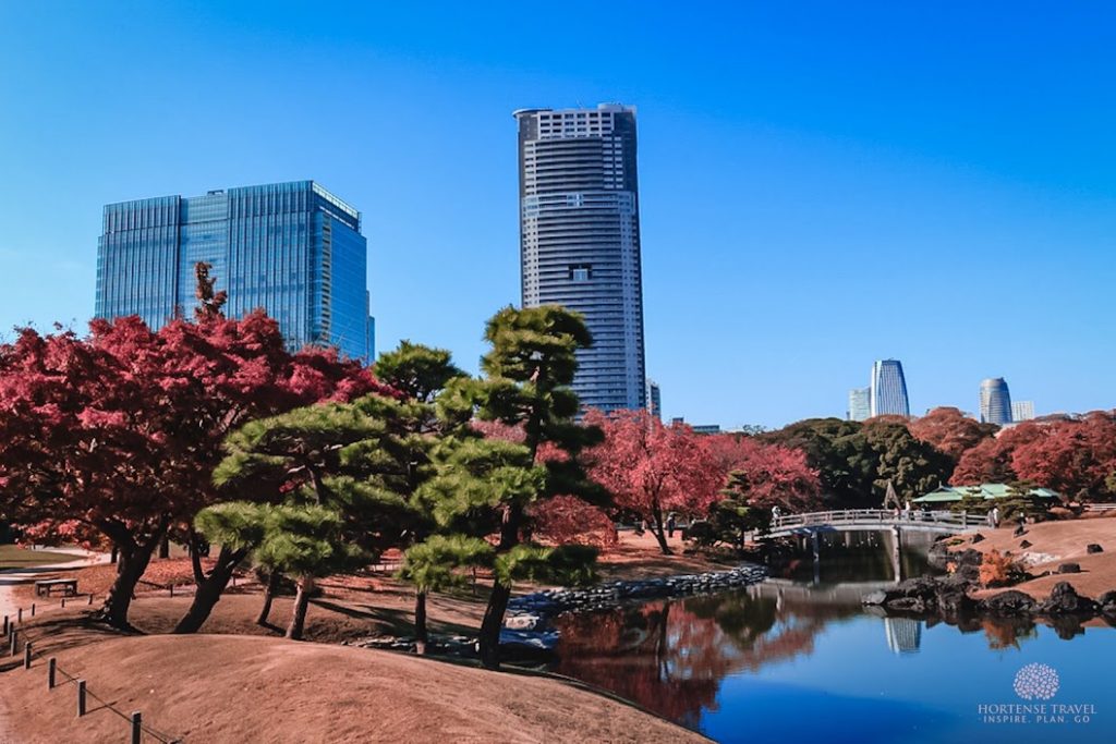 The 12 Most Stunning Gardens In Tokyo - Hortense Travel