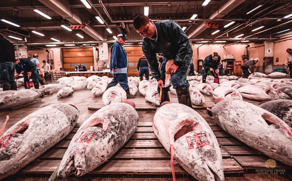 How To Explore The Outer Tsukiji Fish Market - Hortense Travel