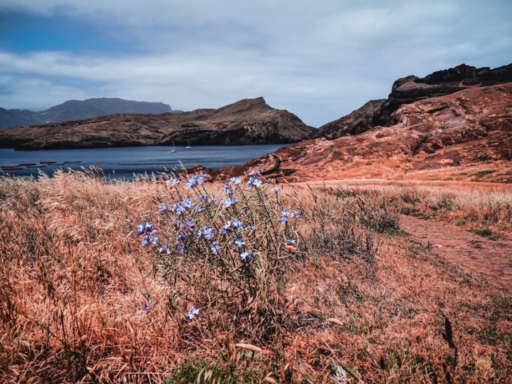 The 15 Most Adventurous Things To Do In Madeira - Hortense Travel