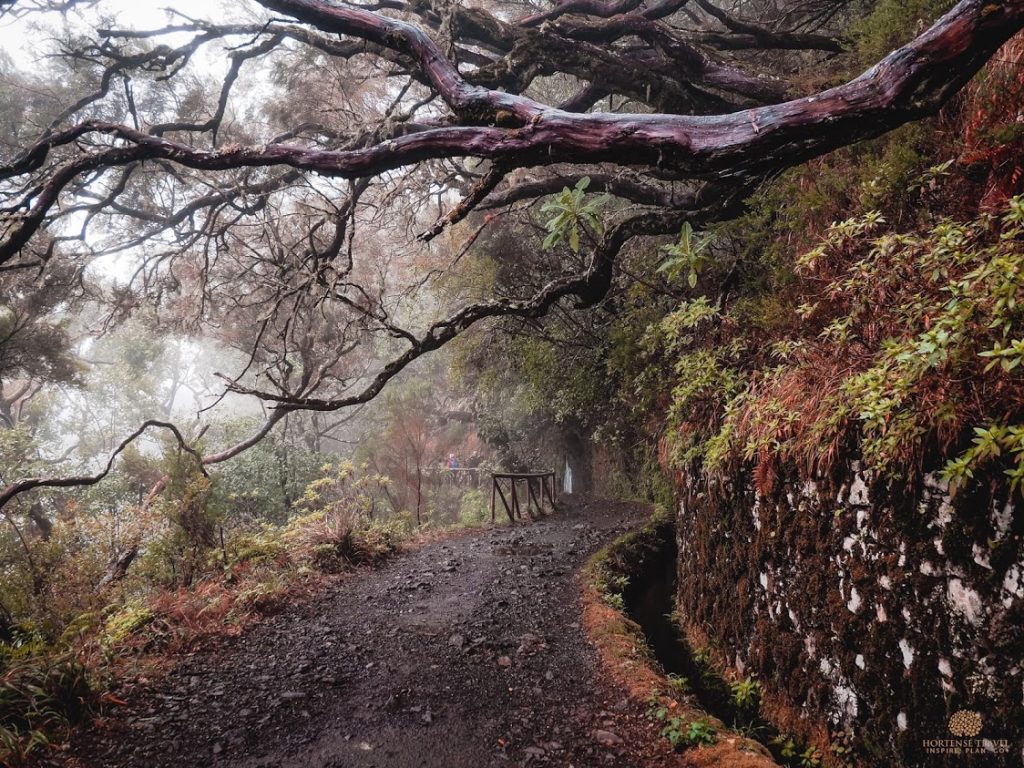 The 15 Most Adventurous Things To Do In Madeira - Hortense Travel