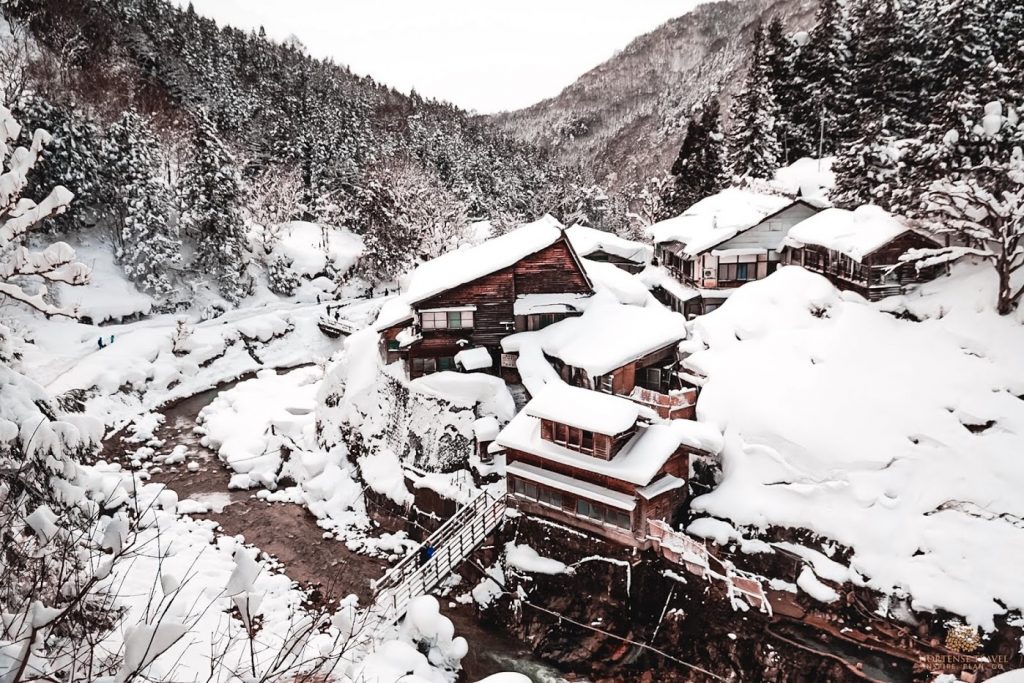 The Life Of The Snow Monkeys Of Japan - Hortense Travel