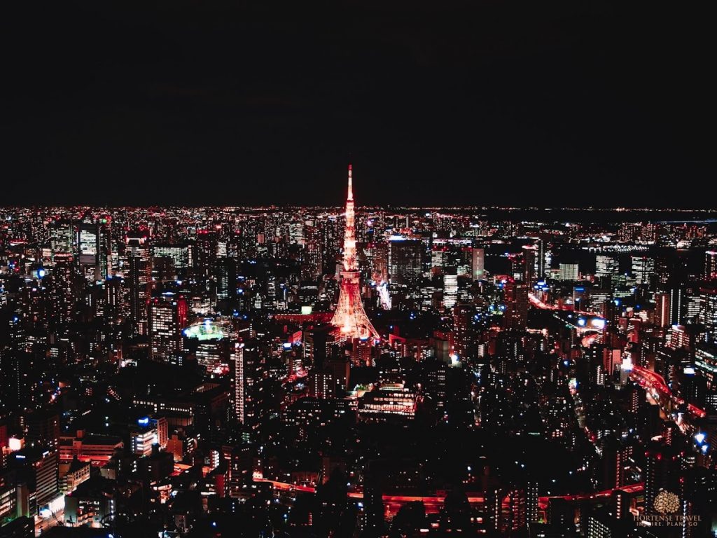 An Insider’s Guide To The Fun Tokyo Nightlife - Hortense Travel