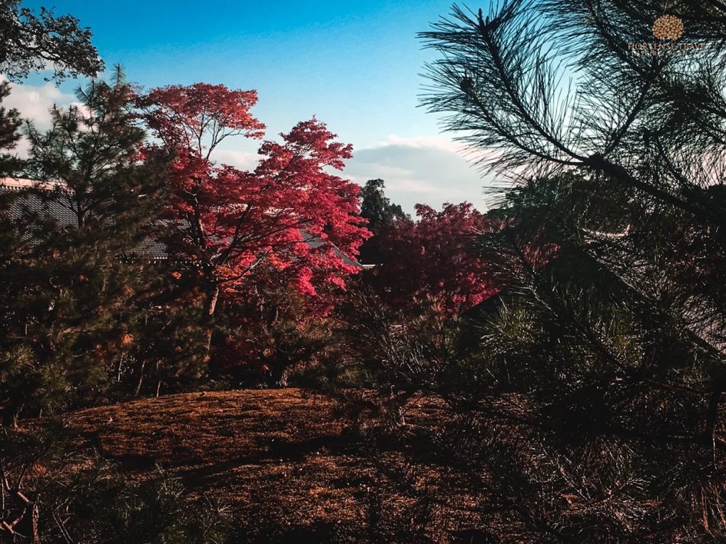 15 Dreamy Botanical Gardens In Japan You Should Visit