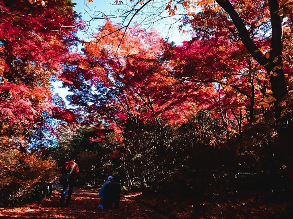 15 Dreamy Botanical Gardens In Japan You Should Visit