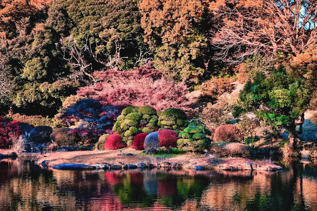 15 Dreamy Botanical Gardens In Japan You Should Visit