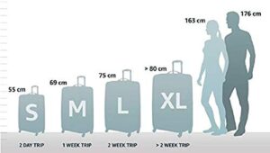 AMERICAN TOURISTER Unisex_Adult Luggage Suitcase, Black (Vivid Black), S (55 Cm-34 L) - Hortense Travel