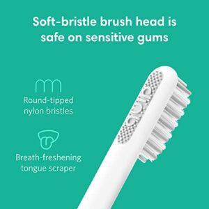 Quip Adult Electric Toothbrush - Sonic Toothbrush With Travel Cover & Mirror Mount, Soft Bristles, Timer, And Metal Handle - Gold - Hortense Travel