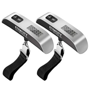 Twelve South AirFly Pro | Wireless Transmitter/Receiver & Etekcity Luggage Scale, 2 Pack - Hortense Travel