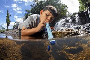 LifeStraw Personal Water Filter For Hiking, Camping, Travel, And Emergency Preparedness, 1 Pack, Blue - Hortense Travel