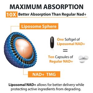 Orgabay Liposomal NAD+ 500 Mg Supplement, High Absorption, Boost NAD+ With TMG 250 Mg, Actual NAD Plus More Efficient Than Regular NAD Supplement, Support Cellular Energy, Healthy Aging | 60 Softgels - Hortense Travel