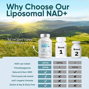 Solodate Liposomal NAD+ Supplement, True NAD+ 500mg With TMG 250 Mg For Max Absorption, Nicotinamide Riboside Alternative For Cellular Energy Metabolism & Healthy Aging - 120 Capsules - Hortense Travel