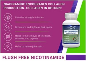 GENEX FORMULAS - Nicotinamide 500mg 3-Pack Vitamin B3 Flush Free Niacin Capsules For Healthy Skin - Niacinamide Supplement Pills Help Produce Keratin & Support Skin Cell Health & Energy (300 Capsules) - Hortense Travel