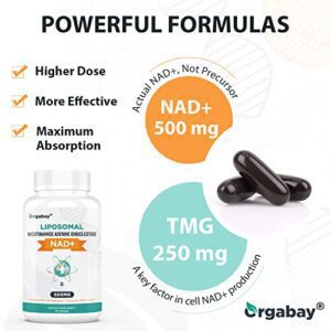 Orgabay Liposomal NAD+ 500 Mg Supplement, High Absorption, Boost NAD+ With TMG 250 Mg, Actual NAD Plus More Efficient Than Regular NAD Supplement, Support Cellular Energy, Healthy Aging | 60 Softgels - Hortense Travel
