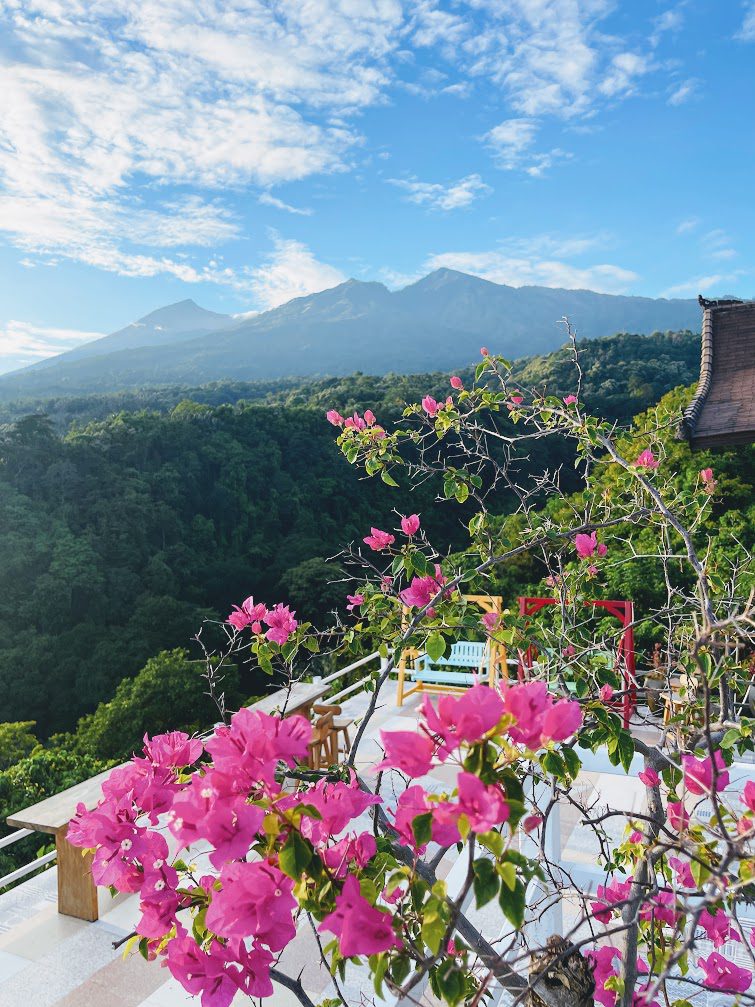 Discover The Untamed Beauty: The Ultimate Lombok Guide